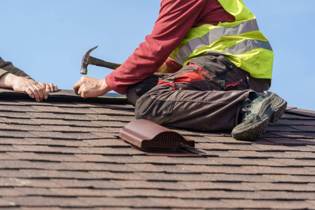 Best Roof Gutter Cleaning  in Knoxville, IA