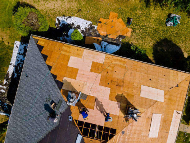 Best Metal Roofing Contractor  in Knoxville, IA