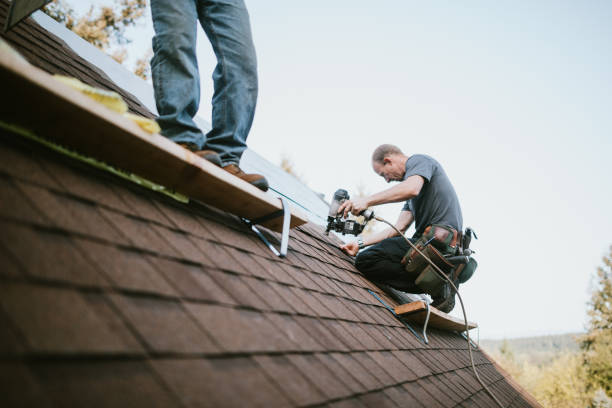Best Flat Roof Repair Services  in Knoxville, IA